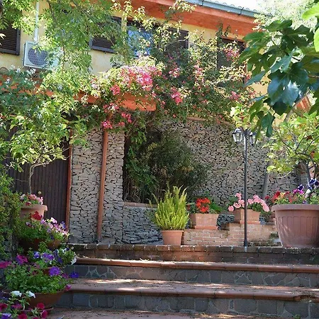 Sant'elene 3* دورغالي