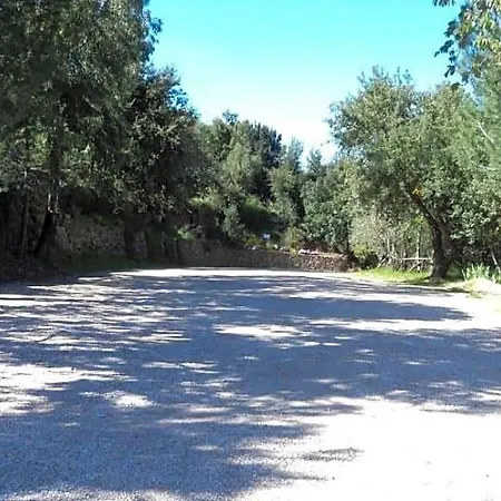 Sant'elene