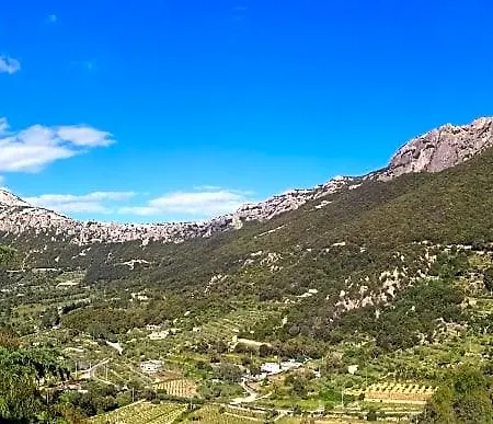 Sant'elene 3*